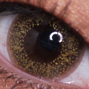 Club Gold Pearl(月拋)